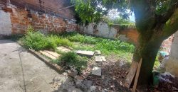 ARRIENDO CASA EN SAN JAVIER