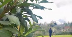 VENDO APARTAMENTO EN RIONEGRO