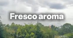 VENDO APARTAMENTO EN RIONEGRO