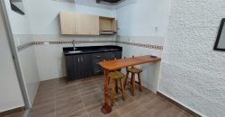 Arriendo apartaestudio en el Danubio