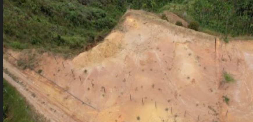 VENDO LOTE EN CISNEROS