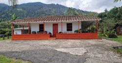 VENDO FINCA EN SAN ANTONIO DE PRADO