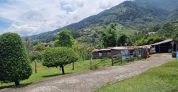 VENDO FINCA EN SAN ANTONIO DE PRADO