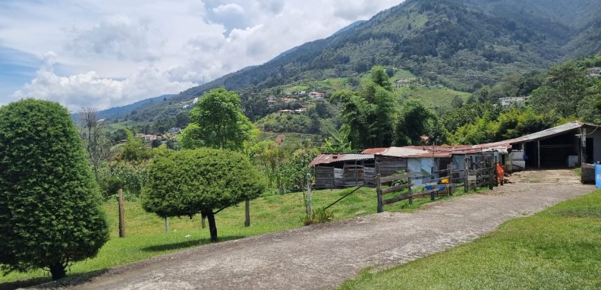 VENDO FINCA EN SAN ANTONIO DE PRADO
