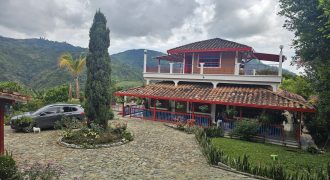 VENDO FINCA EN FREDONIA