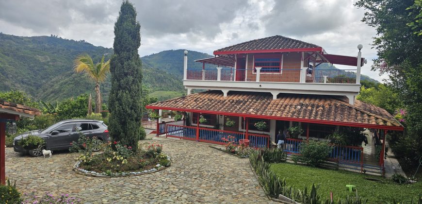 VENDO FINCA EN FREDONIA