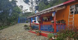 VENDO FINCA EN FREDONIA