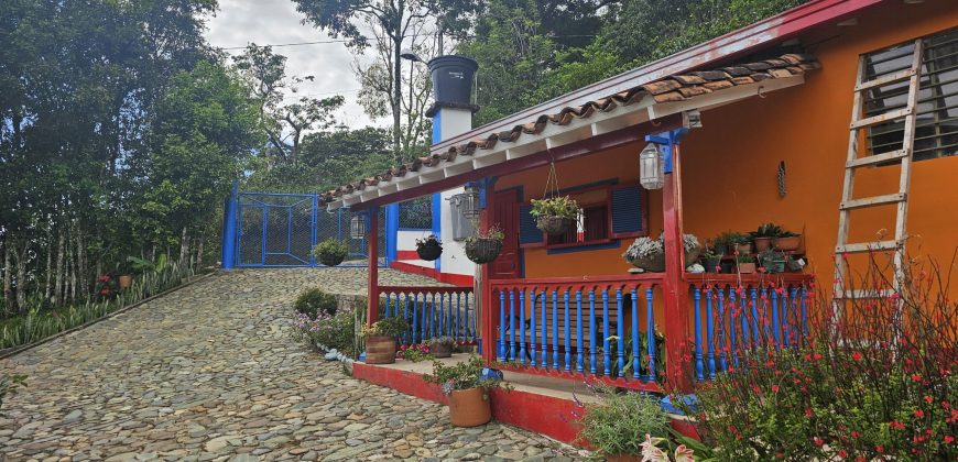 VENDO FINCA EN FREDONIA