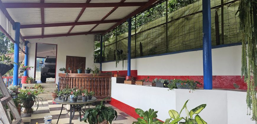 VENDO FINCA EN FREDONIA