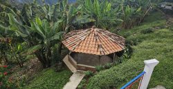 VENDO FINCA EN FREDONIA