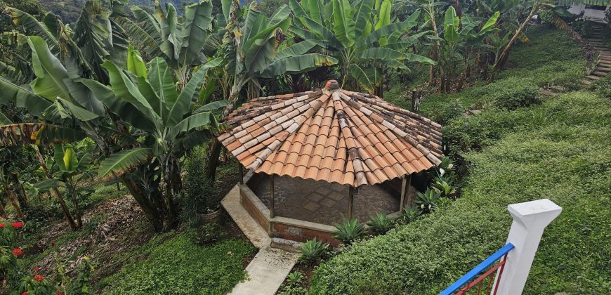 VENDO FINCA EN FREDONIA