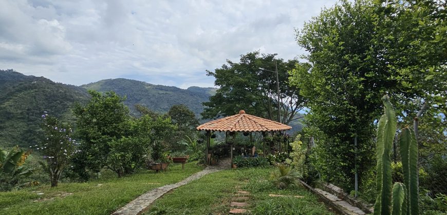 VENDO FINCA EN FREDONIA