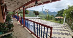 VENDO FINCA EN FREDONIA