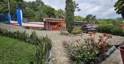 VENDO FINCA EN FREDONIA