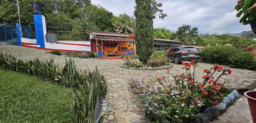 VENDO FINCA EN FREDONIA