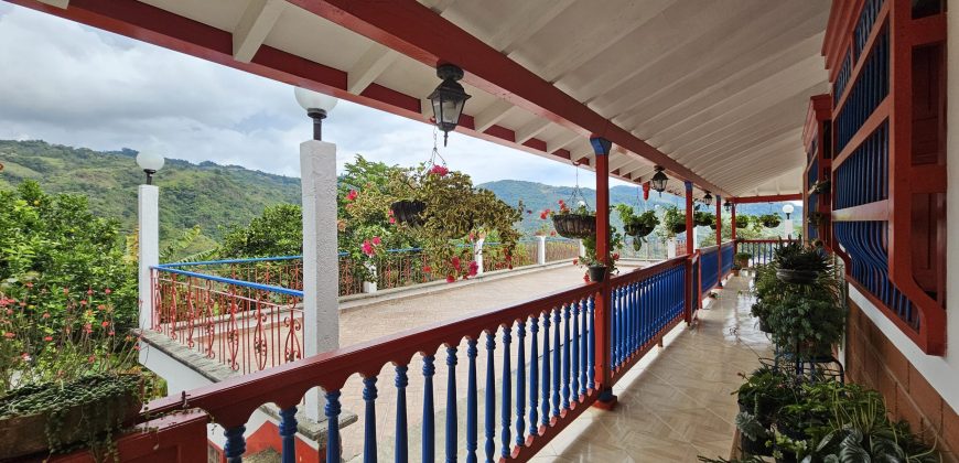 VENDO FINCA EN FREDONIA