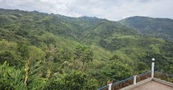 VENDO FINCA EN FREDONIA