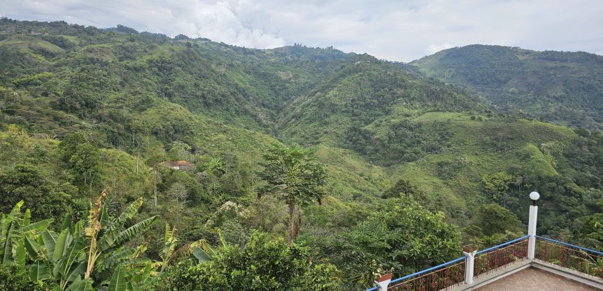 VENDO FINCA EN FREDONIA