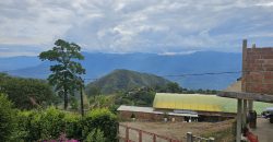 VENDO FINCA EN FREDONIA