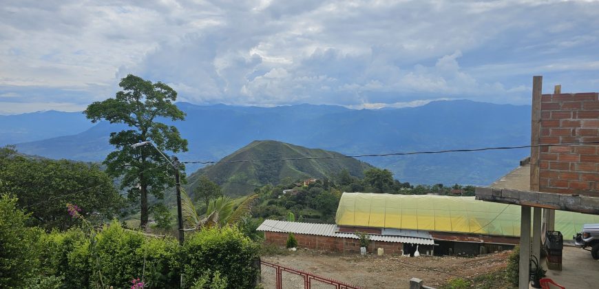 VENDO FINCA EN FREDONIA