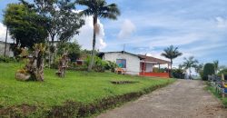 VENDO FINCA EN SAN ANTONIO DE PRADO