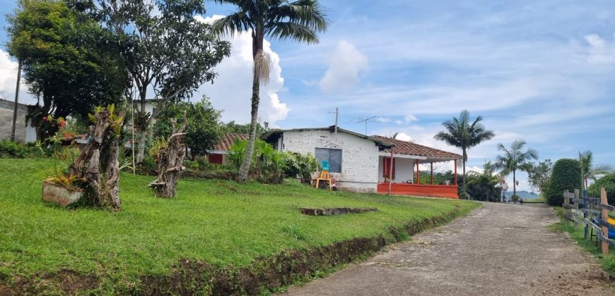 VENDO FINCA EN SAN ANTONIO DE PRADO