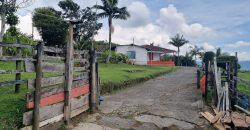 VENDO FINCA EN SAN ANTONIO DE PRADO