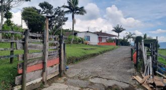 VENDO FINCA EN SAN ANTONIO DE PRADO