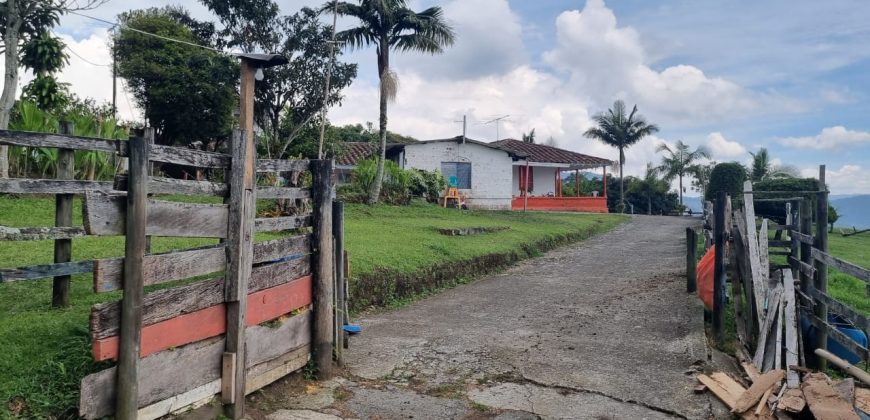 VENDO FINCA EN SAN ANTONIO DE PRADO