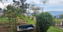 VENDO FINCA EN SAN ANTONIO DE PRADO