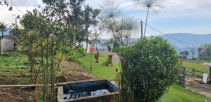 VENDO FINCA EN SAN ANTONIO DE PRADO