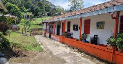 VENDO FINCA EN SAN ANTONIO DE PRADO