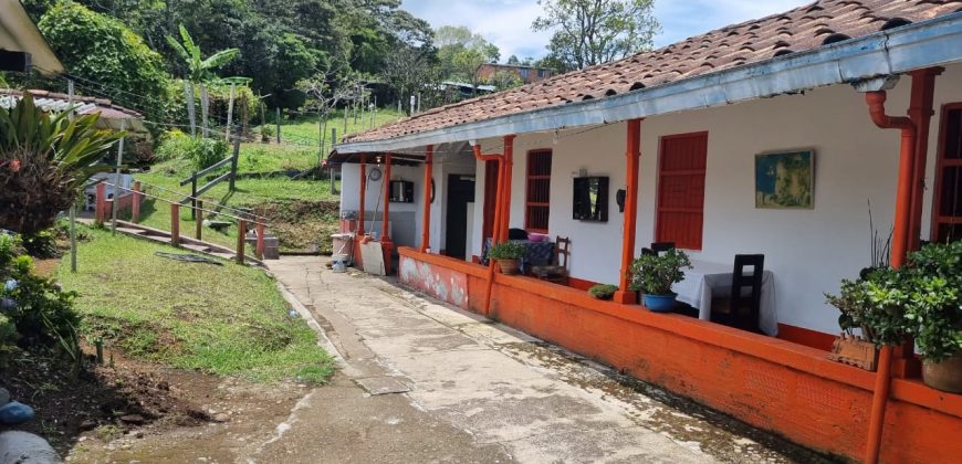 VENDO FINCA EN SAN ANTONIO DE PRADO