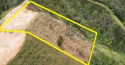 VENDO LOTE EN CISNEROS