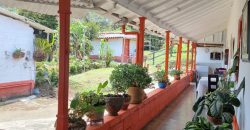 VENDO FINCA EN SAN ANTONIO DE PRADO