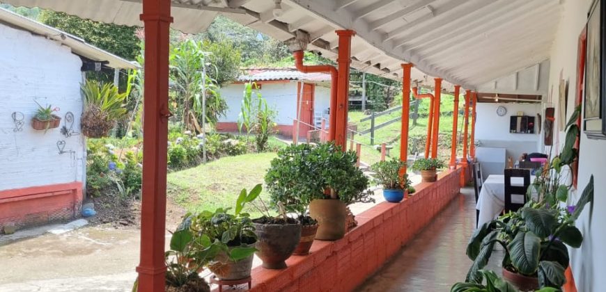 VENDO FINCA EN SAN ANTONIO DE PRADO