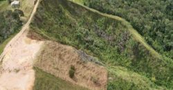 VENDO LOTE EN CISNEROS