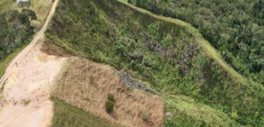 VENDO LOTE EN CISNEROS