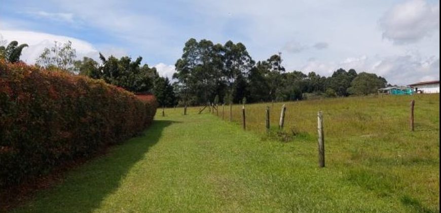 VENDO LOTE EN RIONEGRO