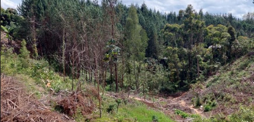 VENDO LOTE EN RIONEGRO