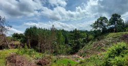 VENDO LOTE EN RIONEGRO