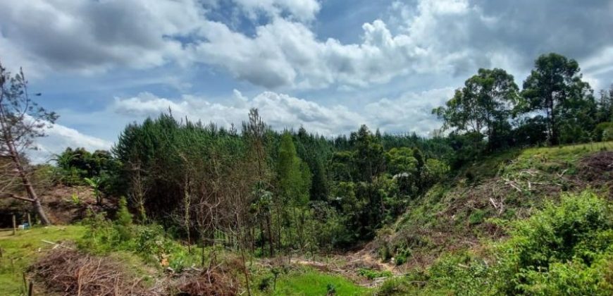 VENDO LOTE EN RIONEGRO