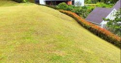 VENDO LOTE EN RIONEGRO