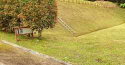 VENDO LOTE EN RIONEGRO