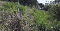 VENDO LOTE EN BARBOSA