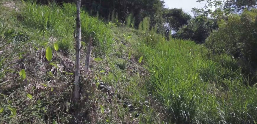 VENDO LOTE EN BARBOSA