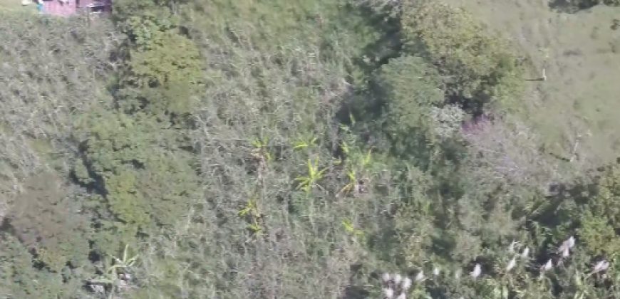 VENDO LOTE EN BARBOSA