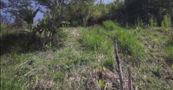 VENDO LOTE EN BARBOSA