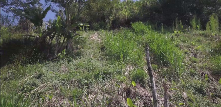 VENDO LOTE EN BARBOSA