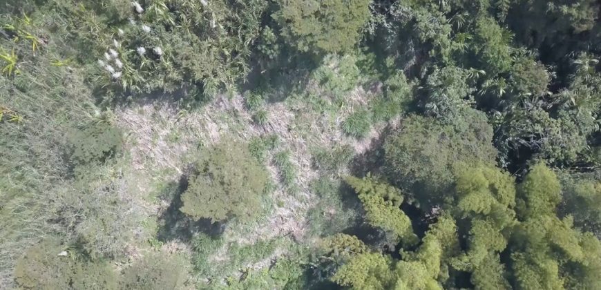 VENDO LOTE EN BARBOSA